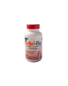 21st Century Arthri-Flex 120 Tablets