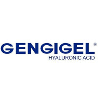 Gengigel